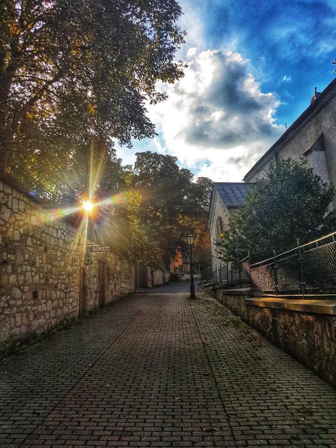 Antaloczy Vendeghaz Apartment Tokaj Bagian luar foto